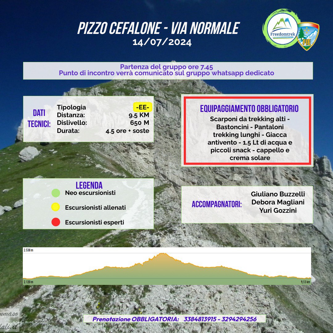 pizzo-cefalone